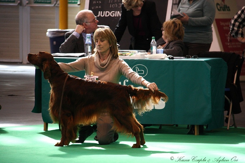 Crufts2011 391.jpg